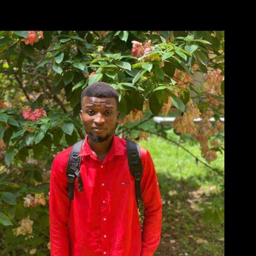 Chidera Victor  N. profile photo