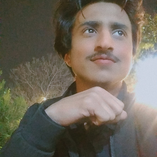 Ali S.