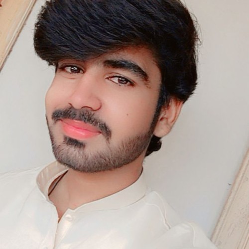 Shahzaib H.