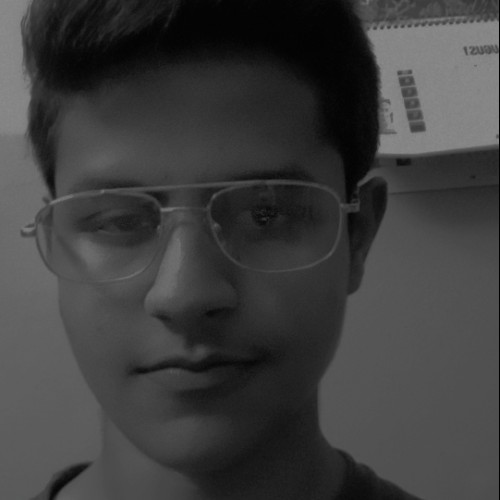 Mohsin R. profile photo