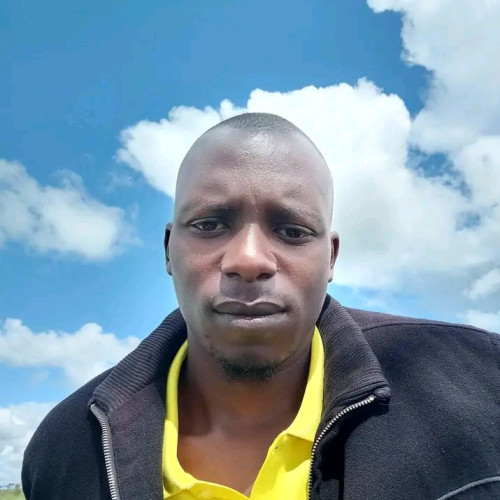 Brian  B. profile photo