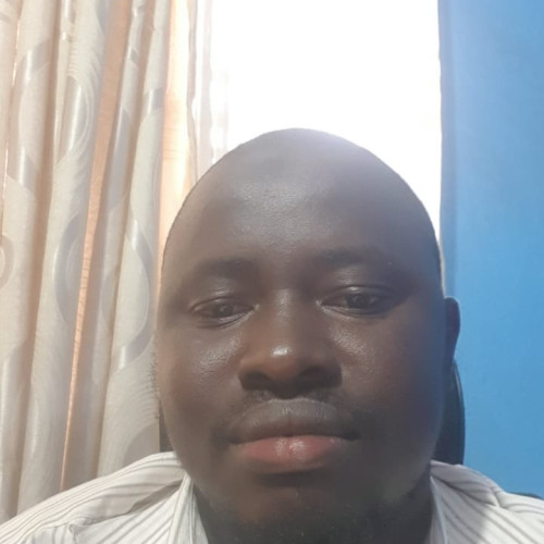 Vandi M. profile photo