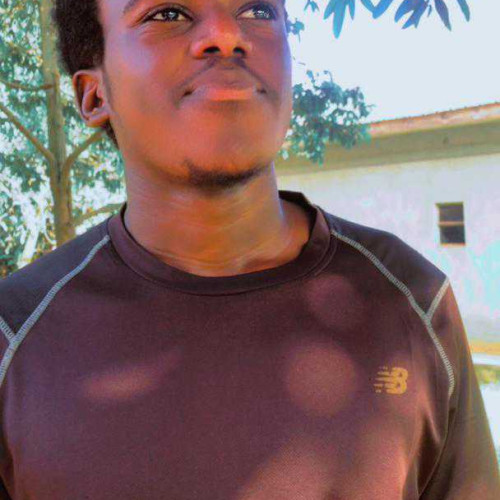 Rex D. profile photo