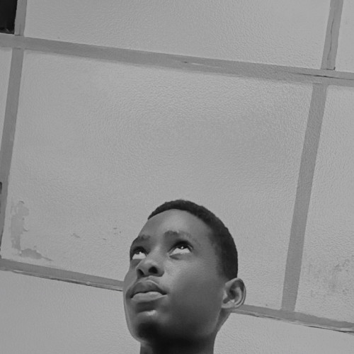 Adeayo I. profile photo