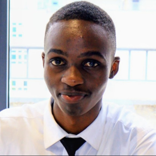 Martin M. profile photo
