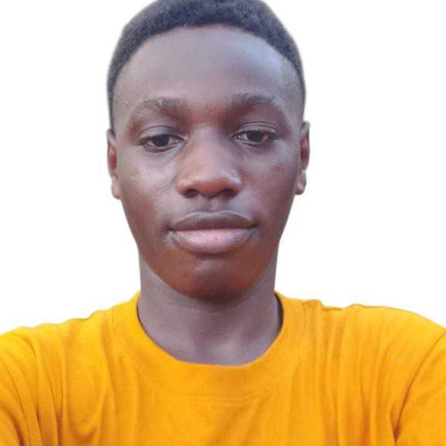 Oluwatimileyin A. profile photo