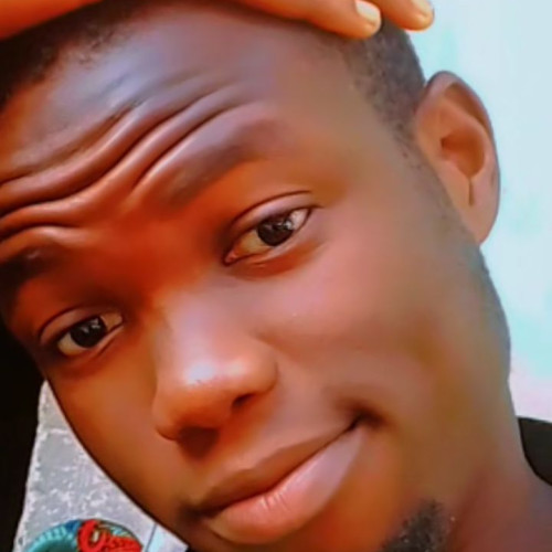 Ayanfeoluwa  P. profile photo