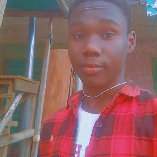 Akinlabi E. profile photo