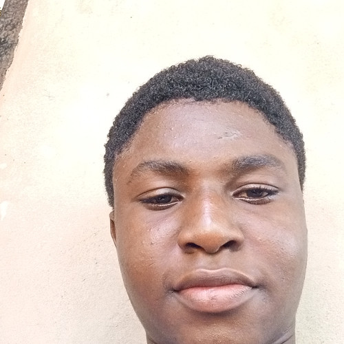 Ikenna S. profile photo
