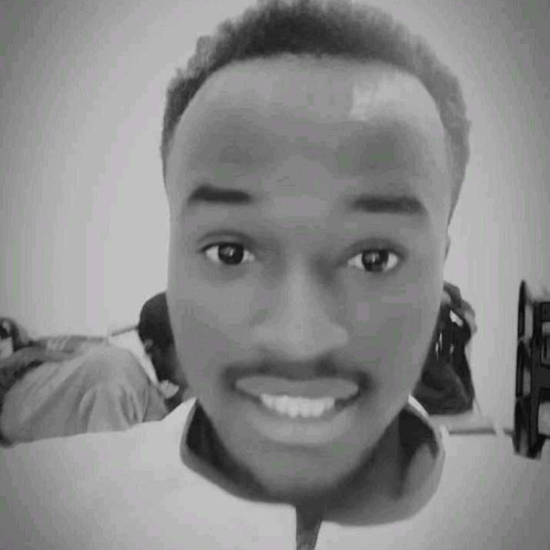 Francis T. profile photo