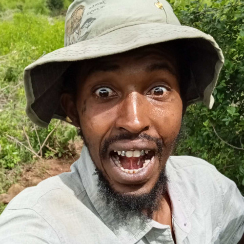 David W. profile photo