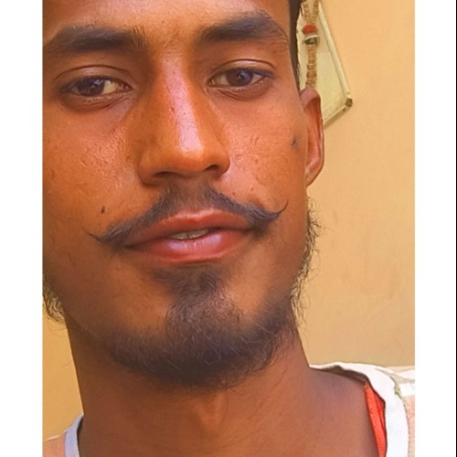 Sahil K. profile photo