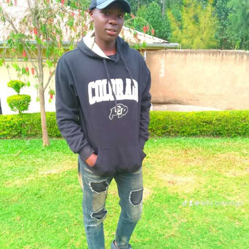 Felix o. profile photo