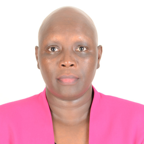 Phyllis G. profile photo