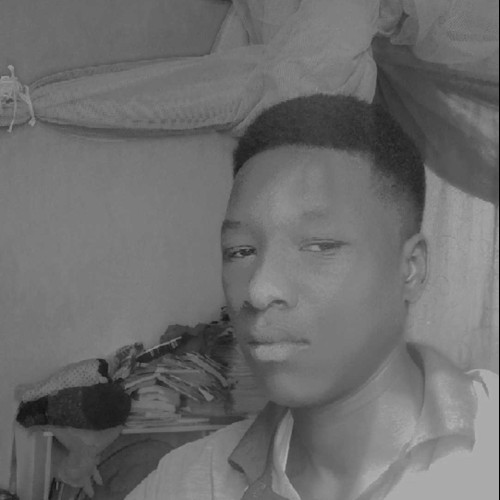 solomon s. profile photo