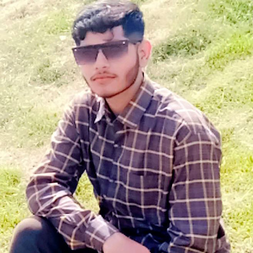 Adeel A. profile photo