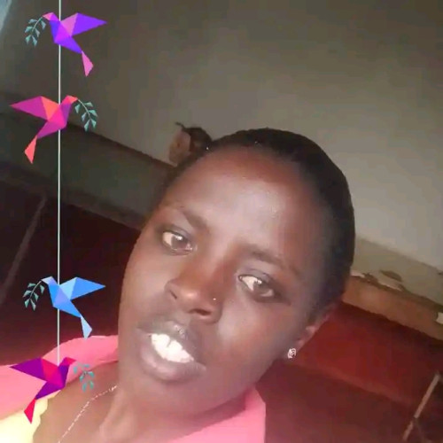 Mishy V. profile photo