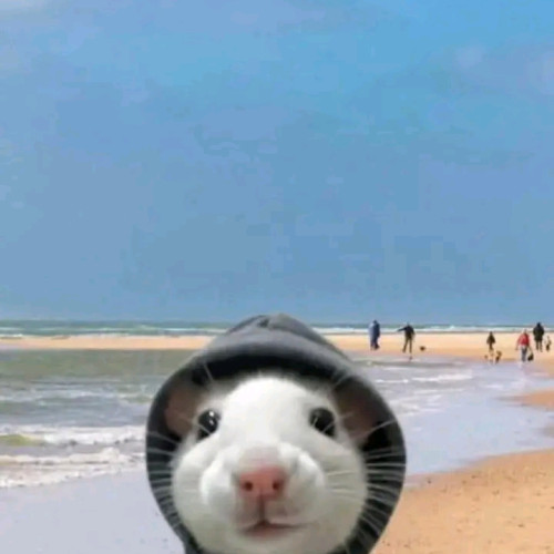 Ando  R. profile photo