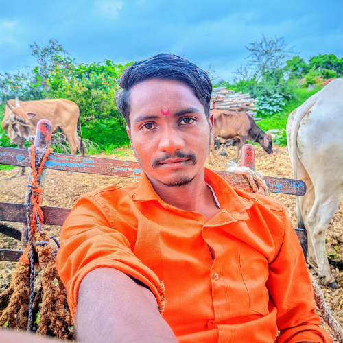 Kiran C. profile photo