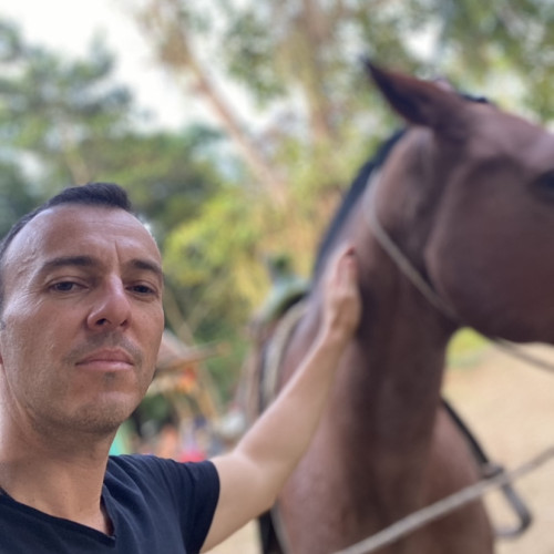 André O. profile photo