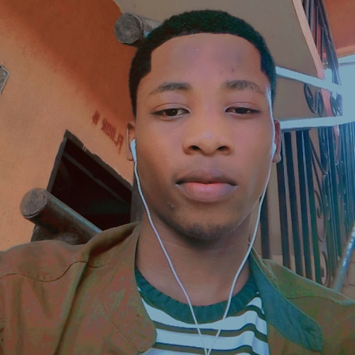 Onyegbule L. profile photo