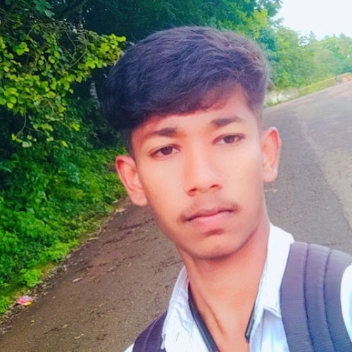 Sarvesh V. profile photo