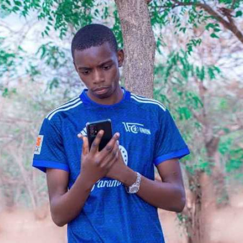 Nguvumali N. profile photo