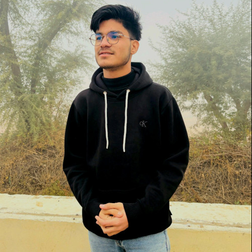 Vikash  P. profile photo