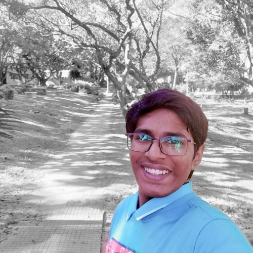 NILESH  K.