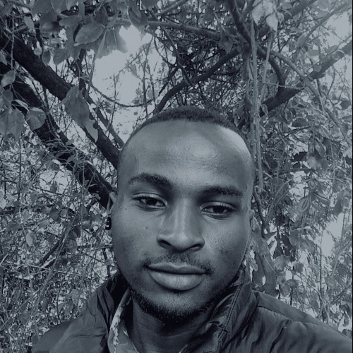 peter E. profile photo