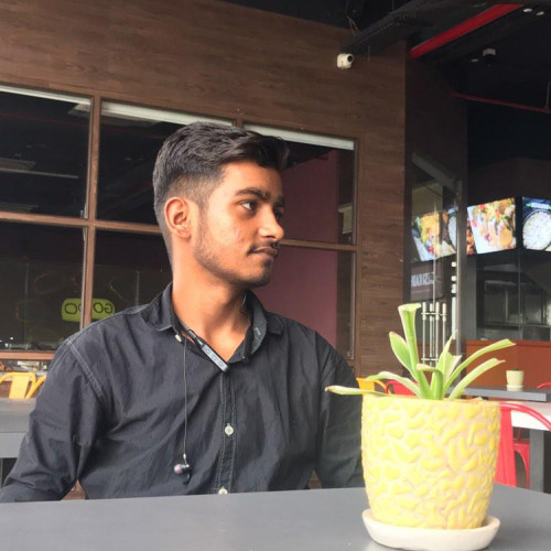 Biswajit C. profile photo