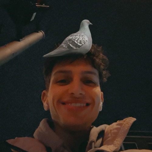 Chris T. profile photo