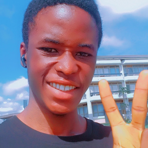 Nwokolo D. profile photo
