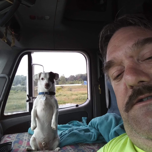 Joe M. profile photo
