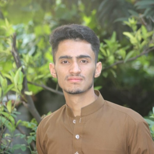 Hammad N.