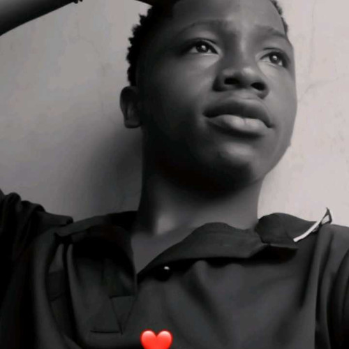 Elvis N. profile photo