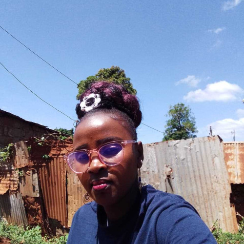 Terry N. profile photo