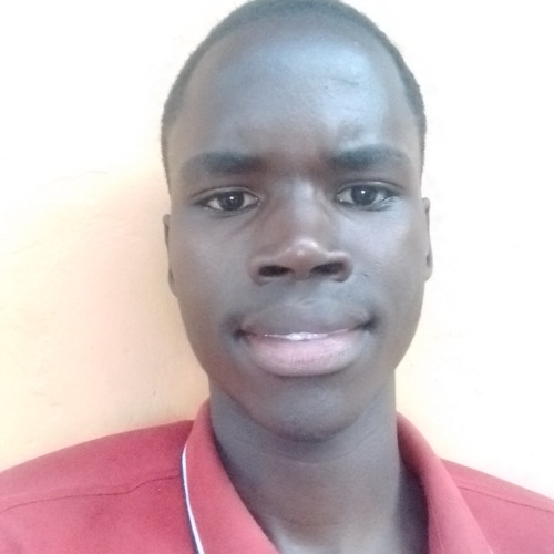 Dissan S. profile photo
