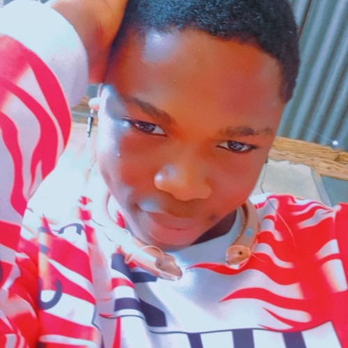 Oloyede  O.