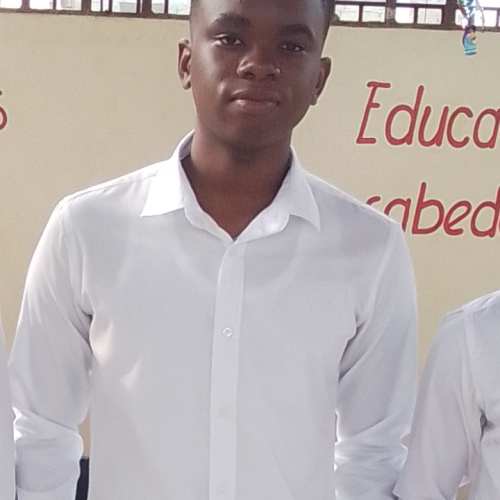 Dinis  D. profile photo