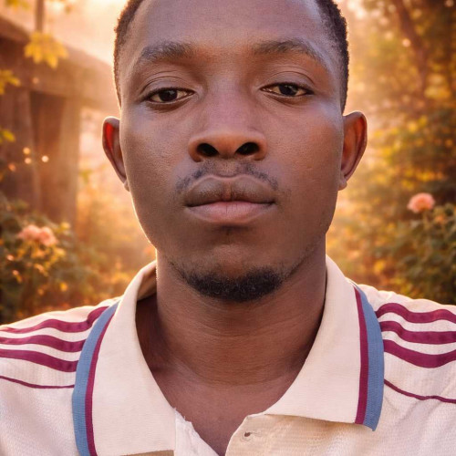 Wambwe d. profile photo