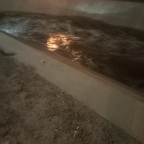 Moha D. profile photo