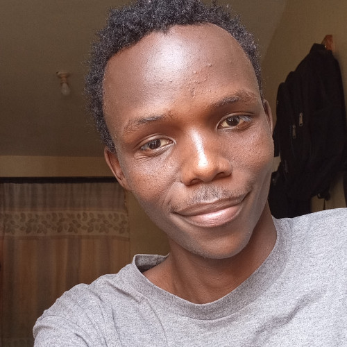 Steve  L. profile photo