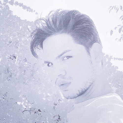 Feysal  N. profile photo