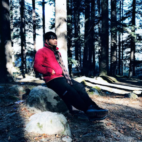 Rahul V. profile photo