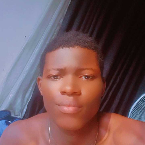 nwokocha d. profile photo