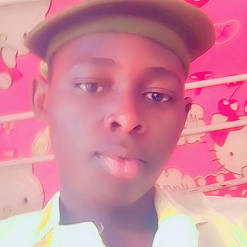 walid A. profile photo