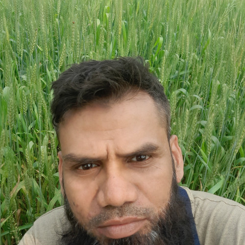 Javed S.