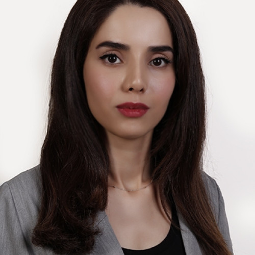 Samaneh  H. profile photo