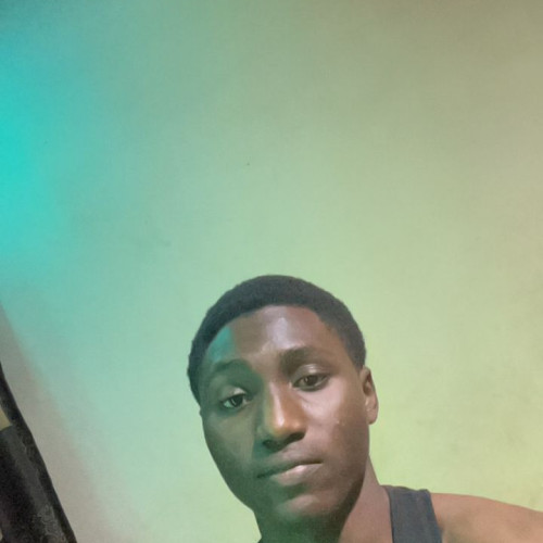 olaoluwa O. profile photo